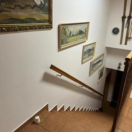 Orman Evi Slunecna Lada *