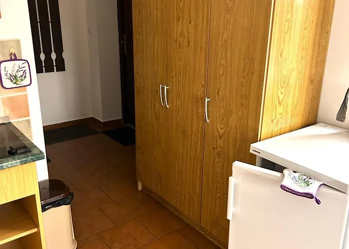 Slunecna Lada Borová Lada